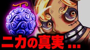 ヒトヒトの実の覚醒で分かった悪魔の実の真実…!!!【ワンピース考察】
