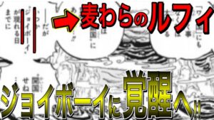 ルフィついにジョイボーイへ！果たしてそのジョイボーイの正体とは？！巨大麦わら帽子がマリージョアにあった理由とは？！【ワンピース ネタバレ】