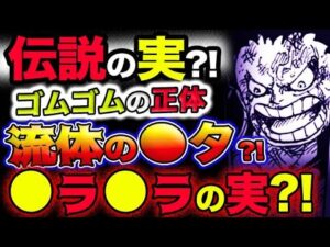 【ワンピース 最新話衝撃感想】伝説の悪魔の実？ゴムゴムの真の姿は？流体の●タ？まさかの●ラ●ラの実？！(予想妄想考察)