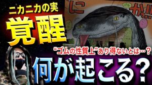 一体、何が起こるのか？【ワンピース ネタバレ】