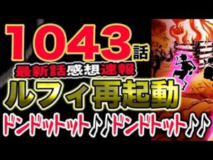 【ワンピース 最新話感想速報】ルフィ敗北！四皇勝利宣言！再起動！（予想考察）