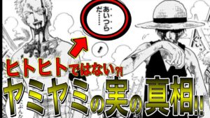 黒ひげ、ヒトヒトの実はミスリード？！体の中にいるのはヤミヤミの実に関わるアイツのことだった？！ヤミヤミの実の真相！【ワンピース ネタバレ】