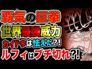 【ワンピース 最新話衝撃感想】カイドウビビった？ルフィはキレた？能力が世界を制する事はないのか？ニカルフィの覇気の巨拳（予想考察）