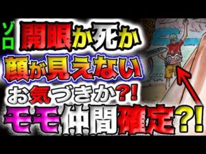 【ワンピース 最新話衝撃感想】ゾロは開眼か死亡か？モモの助が一味加入確定？(予想妄想)