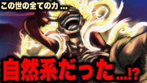 ルフィは自然系の能力も持っていた…！？【ワンピース考察】