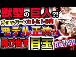 【ワンピース 最新話衝撃感想】ニカの獣型は巨大化だった？巨大麦わら帽子の持ち主は？チョッパーのヒトヒトの実のモデルは？飛び出す目玉の謎とは？(予想妄想)