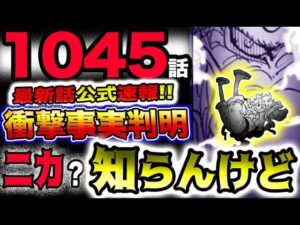 【ワンピース 最新話公式速報】カイドウはニカを知らない？衝撃の事実判明！ニカの獣型はまさかのアレだった？！(予想妄想)
