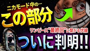 ここへ来て判明した“驚愕の新事実”【ワンピース ネタバレ】