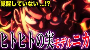 ルフィは覚醒していない…！？動物系覚醒の真実…【ワンピース考察】