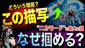 ニカモード最大の謎【ワンピース ネタバレ】