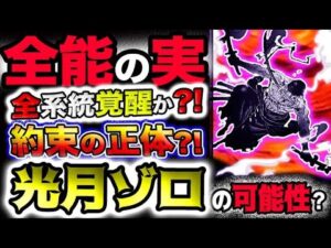 【ワンピース ネタバレ予想】ニカは全能の悪魔の実？全系統が覚醒？約束の正体とは？光月ゾロの可能性はあるのか？！(予想妄想)