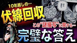 とうとう判明した“悪魔の実”の真実【ワンピース ネタバレ】