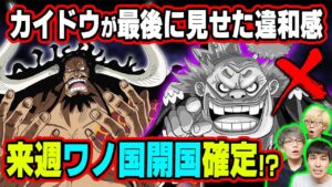 誰も気づいてない伏線！？ルフィの技にニカの正体！カイドウ を倒し切らない理由とは！？【 ワンピース 1048話 最新話 考察 】 ※ジャンプ ネタバレ 注意