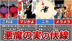 【ワンピース】悪魔の実の正体に関するガチで意味深な伏線7選