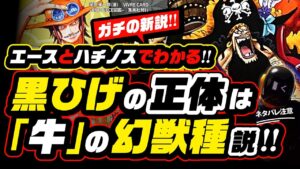 黒ひげの能力の正体は「牛の幻獣種」説!? それは●●●●!! エース、ハチノス、シャンクス、眠れない、歯並び、全ての謎から導く!!  ヤミヤミの実の正体!?  ワンピース ネタバレ 考察