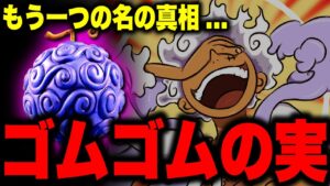 世界政府が「ゴムゴムの実」と呼んでいたとんでもない理由【ワンピース考察】