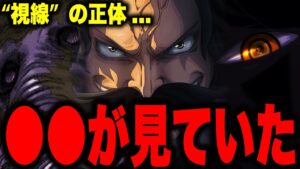 「視線を感じる...」ルフィは常に●●に監視されている!!?【ワンピース考察】