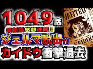 【ワンピース 最新話感想速報】ジェルマ脱出？四皇カイドウの衝撃過去が判明？！(予想妄想)