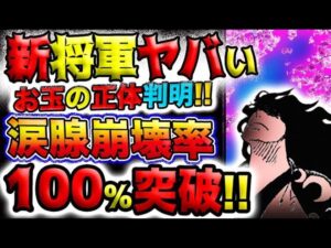 【ワンピース 最新話衝撃感想】ワノ国新将軍光月モモの助がヤバすぎた！お玉の正体判明！涙腺崩壊率100％！！(予想妄想)
