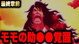 【第1051話】最終章前にまさかの事態が...【ワンピース考察】