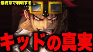 【第1053話】いよいよ判明したキッドの本当の目的…【ワンピース考察】