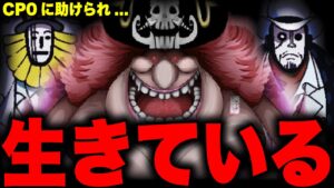 【第1053話】いよいよ判明したビッグ・マムとCP0のとんでもない関係…【ワンピース考察】
