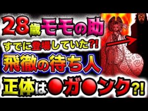 【ワンピース ネタバレ予想】ベガパンク登場？誰の影なのか？28歳モモの助登場？！(予想妄想)