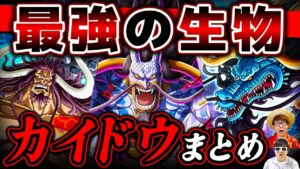 【 ワンピース 】最強生物！百獣のカイドウ総まとめ！ロックス時代・四皇・これからどうなる？ONE PIECE