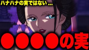 ロビンの本当の能力○○○○の実だった…【ワンピース考察】