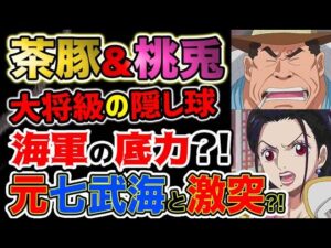 【ワンピース ネタバレ予想】海軍大将クラスの隠し玉！茶豚と桃兎！元七武海と激突した？！（予想考察）