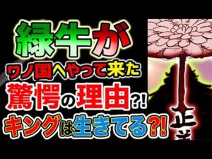【ワンピース 最新話衝撃感想】緑牛がワノ国へやって来た驚愕の理由とは？キングは生きている？！（予想考察）