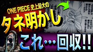 “新情報”で全てわかってしまいました【ワンピース ネタバレ】