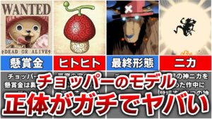 【ワンピース】チョッパーが食べたヒトヒトの実のガチでヤバい正体