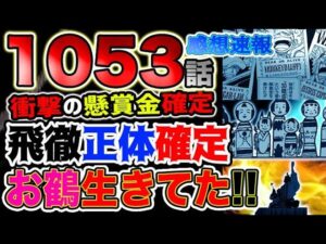 【ワンピース 最神話感想速報】衝撃の懸賞金額が確定！飛徹の正体が確定！感激！お鶴が生きていた！！（予想考察）