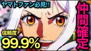 【ワンピース考察】ヤマト仲間確定‼︎ただし、1年の期限付きで？
