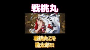 海軍の桃太郎はこいつだ！！ネタバレないから安心してね【ONE PIECE考察】