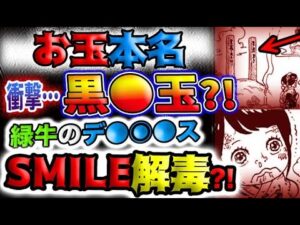 【ワンピース ネタバレ予想】お玉本名は衝撃の黒●玉？！緑牛のデ●◉●スでSMILE解毒？！(予想妄想)
