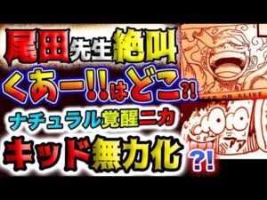 【ワンピース ネタバレ予想】尾田先生絶叫！くあーはどこ？ナチュラルニカ覚醒？キッドを無力化？！(予想妄想)