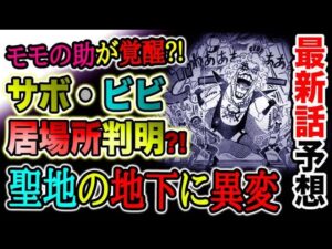 【ワンピース 最新話予想】モモの助が覚醒する？サボはどこへ消えた？マリージョアの地下に異変発生？ビビの居場所判明？（予想考察）