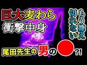 【ワンピース ネタバレ予想】マリージョアの巨大麦わら帽子の中身がヤバすぎる？！もう抑え切れない？ヒントは尾田先生の男の●だった？！（予想考察）