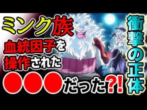 【ワンピース ネタバレ予想】ミンク族の驚愕正体！血統因子を操作された●●●だった？！（予想考察）