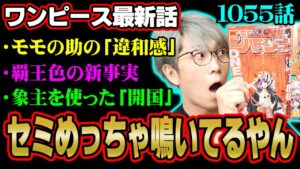 展開がアツすぎる神回！今週も伏線回収がヤバい！最終章で重要になる「開国」とは？【 ワンピース 1055話 最新話 考察 】 ※ジャンプ ネタバレ 注意