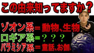 99％が知らない悪魔の実の真実【ワンピース　ネタバレ】