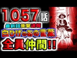 【ワンピース 最新話衝撃速報】ワノ国編完全完結！全員仲間！(予想妄想)