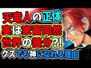 【ワンピース ネタバレ予想】天竜人の秘密とは？生きているだけで良い？天竜人の最期は悲惨？（予想考察）