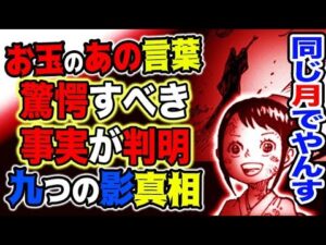 【ワンピース ネタバレ予想】お玉の言葉がやば過ぎた！満月がたくさんある？九つの影は何だったのか？（予想考察）