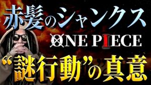 全て“意味のある行動”でした。【ワンピース ネタバレ】