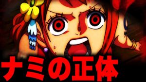 【第1058話】ナミはある国の王女だった…！！？覇王色と覇気の関係…【ワンピース考察】