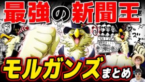 【 ワンピース 】世界情勢編の超重要キャラ！新聞王モルガンズまとめ！ONE PIECE