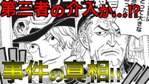 コブラ暗殺事件の裏には第三者の影が！？サボは冤罪！？事件の真相とは・・・！？【ワンピース ネタバレ】